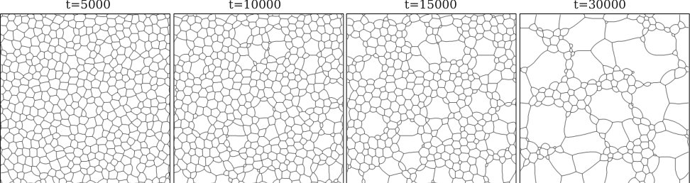 Four phase-field microstructures at increasing time: uniform grains that develop a few abnormally large grains